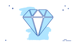 Premium DNS Service