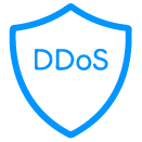  DoS Protection